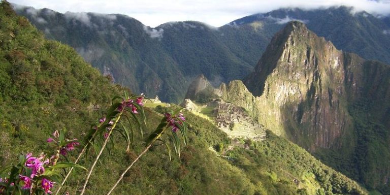  P rou  Le Machu Picchu est le site touristique chouchou 