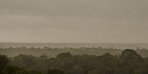 Des indigènes isolés sont filmés en forêt amazonienne par un drone de la FUNAI