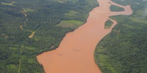 Pérou : 23 000 hectares de forêt amazonienne perdus au premier semestre 2018