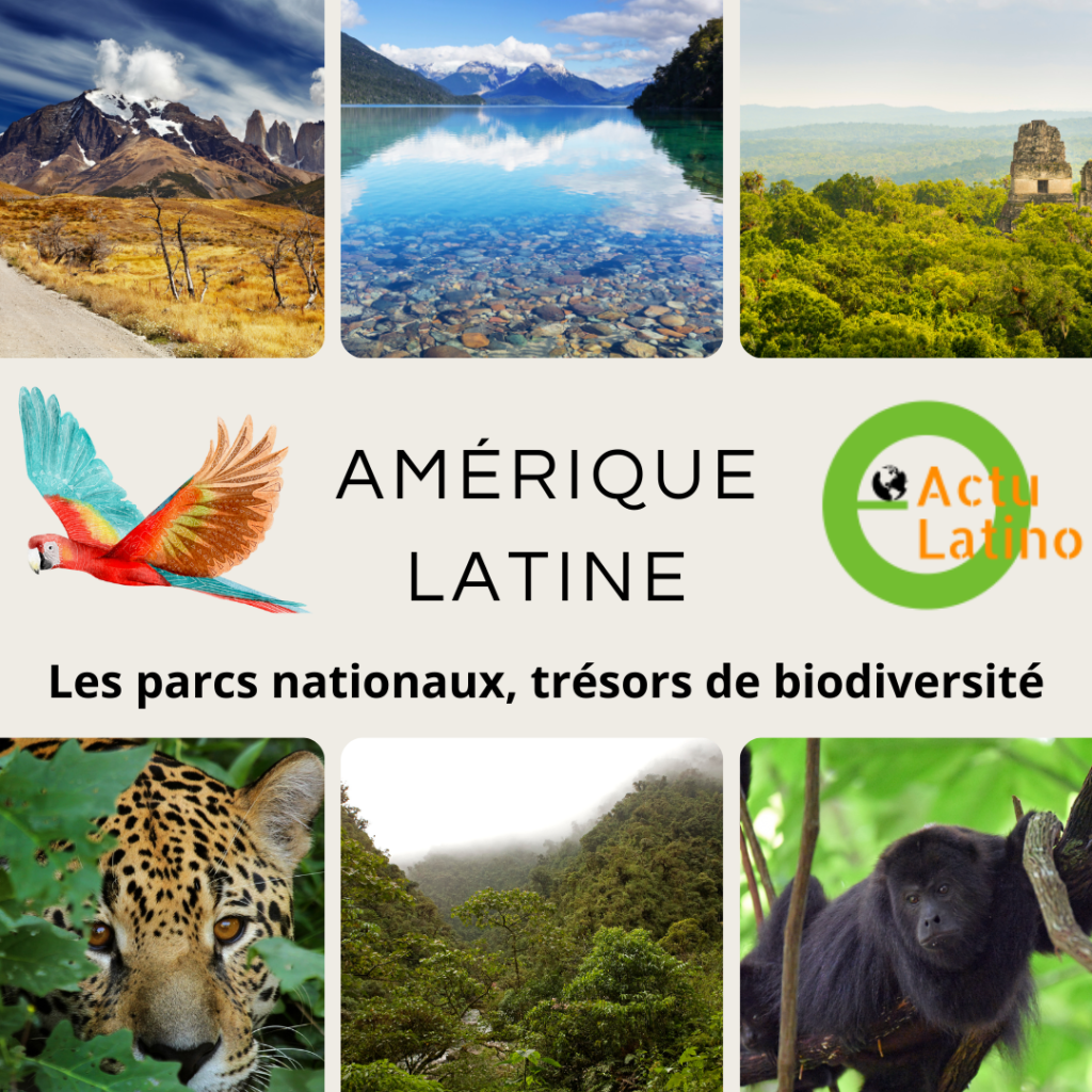 Explorez les parcs nationaux de Manú, Torres del Paine, Tikal et plus encore. Découvrez leur biodiversité unique et les défis de conservation qu'ils affrontent.