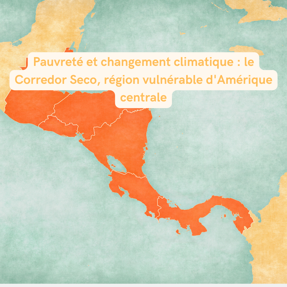 En Amérique Centrale, le Corredor Seco fait face à des sécheresses, une insécurité alimentaire croissante et une pauvreté endémique. Comment s'adapter à ces défis ?