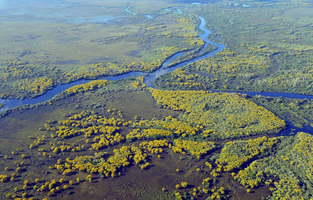 a danger for ecosystems!